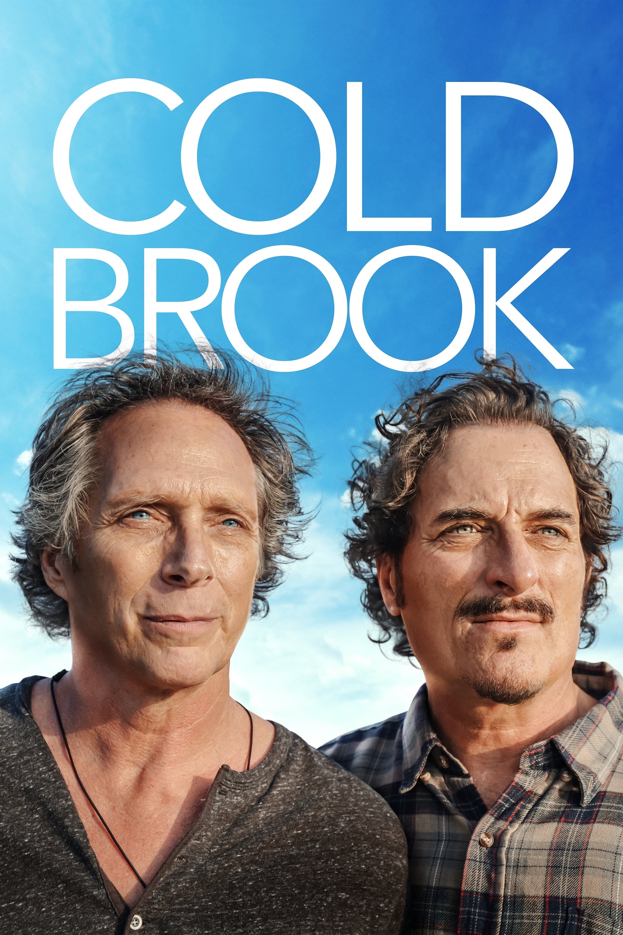 Постер Cold Brook